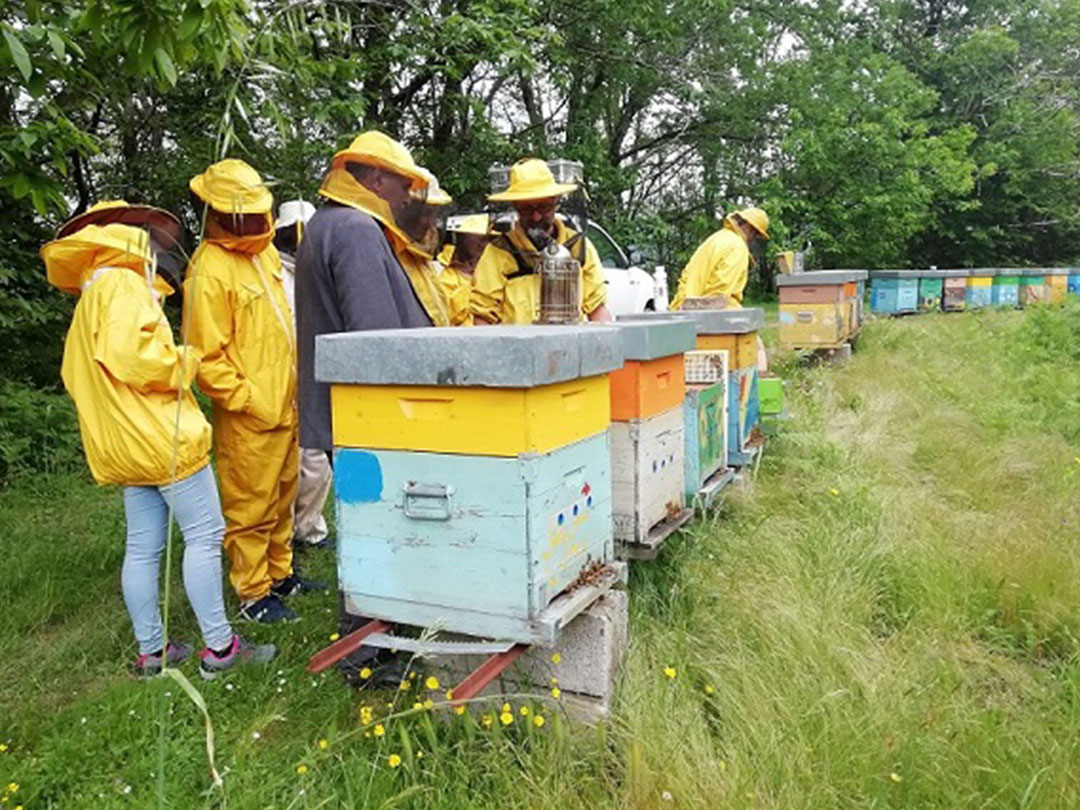 Il Grappa - MEL – Il Workshop internazionale tra apicoltori delle Riserve di Biosfera del Mediterraneo